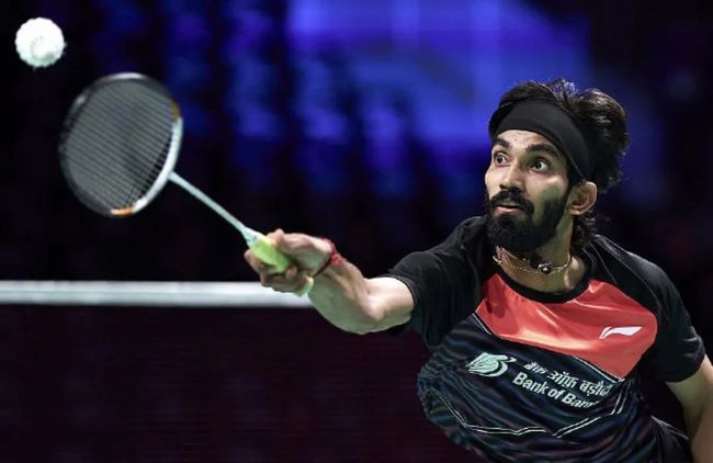 的决策草案 的决策草案